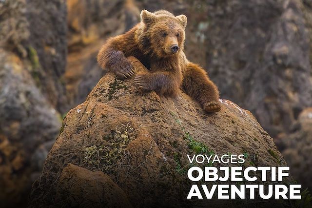 Voyage Sur les traces de l'ours brun des Asturies