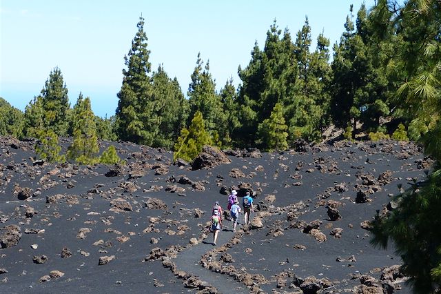 Bord de mer et îles : Tenerife, Gomera, La Palma, les îles fortunées Voyage Tenerife, Gomera, La Palma, les îles fortunées