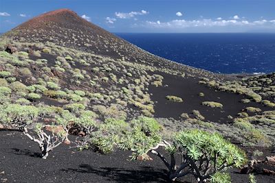 Volcans de l'île de La Palma