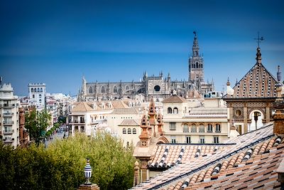 © Hotel Alfonso XIII/Starwood - Séville - Espagne Séville - Espagne