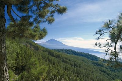 © Office du tourisme de Ténérife - Parc national de Teide - Ténérife - Espagne Parc national de Teide - Ténérife - Espagne