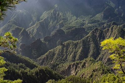 © Daniel / Adobe Stock - Caldeira de Taburiente - La Palma - Iles Canaries - Espagne Caldeira de Taburiente - La Palma - Iles Canaries - Espagne