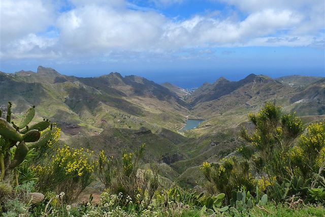 Voyage Les massifs volcaniques de Tenerife