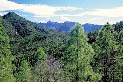  Tamadaba - Grande Canarie - Espagne