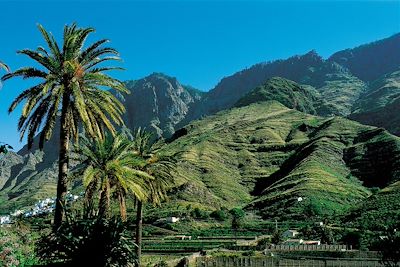  Valle de Agaete - Grande Canarie - Espagne