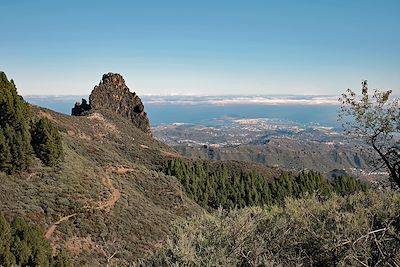Vue sur Las Palmas de Gran Canaria - Gran Canaria - Iles Canaries - Espagne