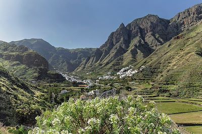 Vallée d'Agaete - Barranco de Agaete - Agaete - Gran Canaria - Îles Canaries - Espagne