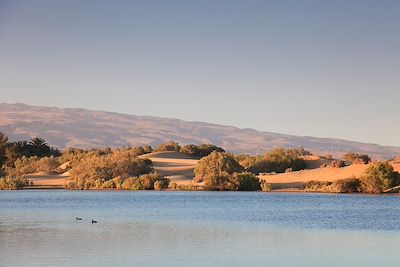 Parc national des dunes de sable de Maspalomas - Gran Canaria - Iles Canaries - Espagne