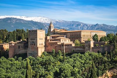 © Perszing1982 / iStock - Alhambra de Grenade - Andalousie - Espagne Alhambra de Grenade - Andalousie - Espagne