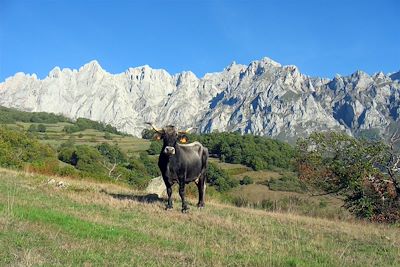 Picos de Europa - Espagne 