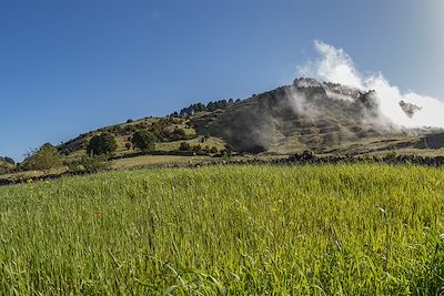 Pré - El Hierro -Canaries - Espagne