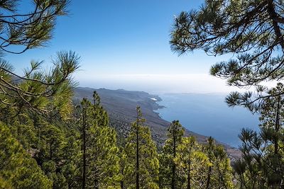 Pinède - El Pinar - El Hierro - Canaries - Espagne