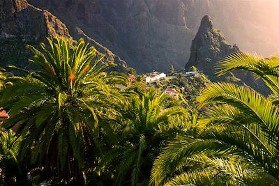 Parc Masca - île de Ténérife - Iles Canaries - Espagne