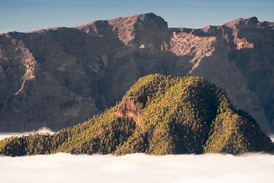 Pico Bejenado - Iles Canaries - La Palma - Espagne