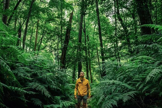 Voyage La Palma, île merveilleuse 