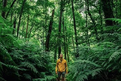 Voyage Canaries (Espagne)