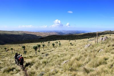 Randonnée dans les plaines du Simien - Ethiopie