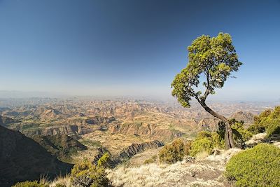 © Guenter Guni / iStock - Montagnes du Simien - Éthiopie Montagnes du Simien - Éthiopie