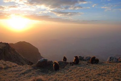 © Marion Rimbaud - Coucher de soleil depuis le sommet Kedadit - Parc national du Simien - Ethiopie Coucher de soleil depuis le sommet Kedadit - Parc national du Simien - Ethiopie