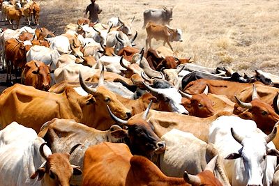 Parc national de Nechisar - Ethiopie