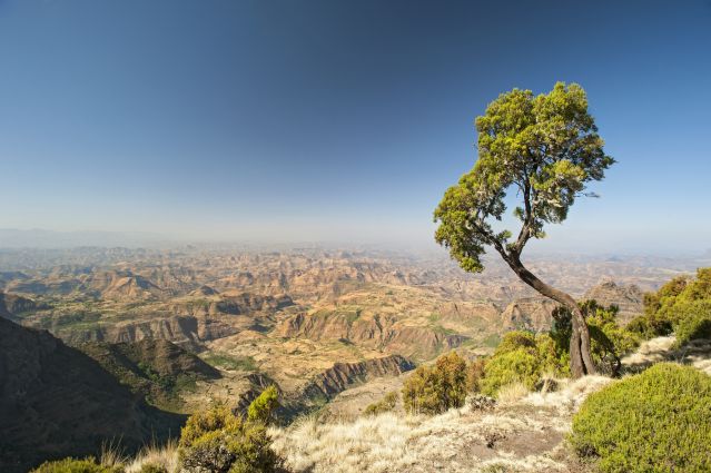 Montagnes du Simien - Éthiopie