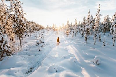 Voyage Laponie finlandaise