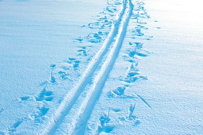 Voyage Laponie finlandaise