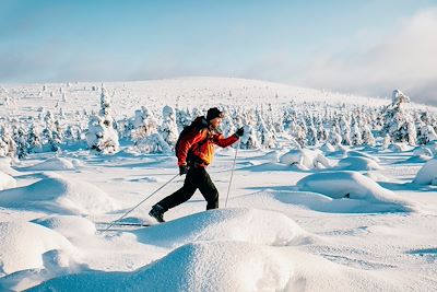 Skieur de fond en Laponie - Finlande