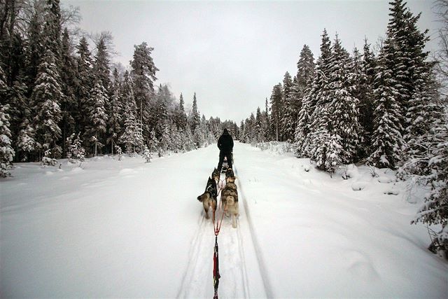 Traîneau à chiens Finlande
