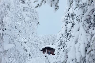 Voyage Laponie finlandaise