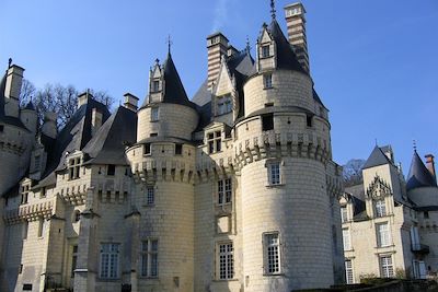 Voyage Itinérance sur la Loire à vélo de Blois à Saumur 3