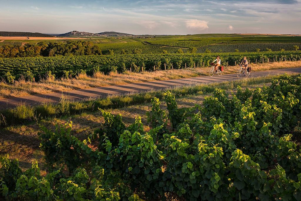 Voyage Vallée royale guidée entre Blois et Tours à vélo 2