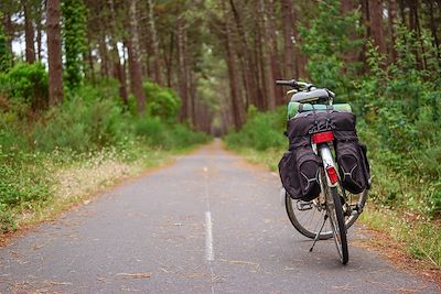 Voyage La Vélodyssée de La Rochelle à Arcachon à vélo 3