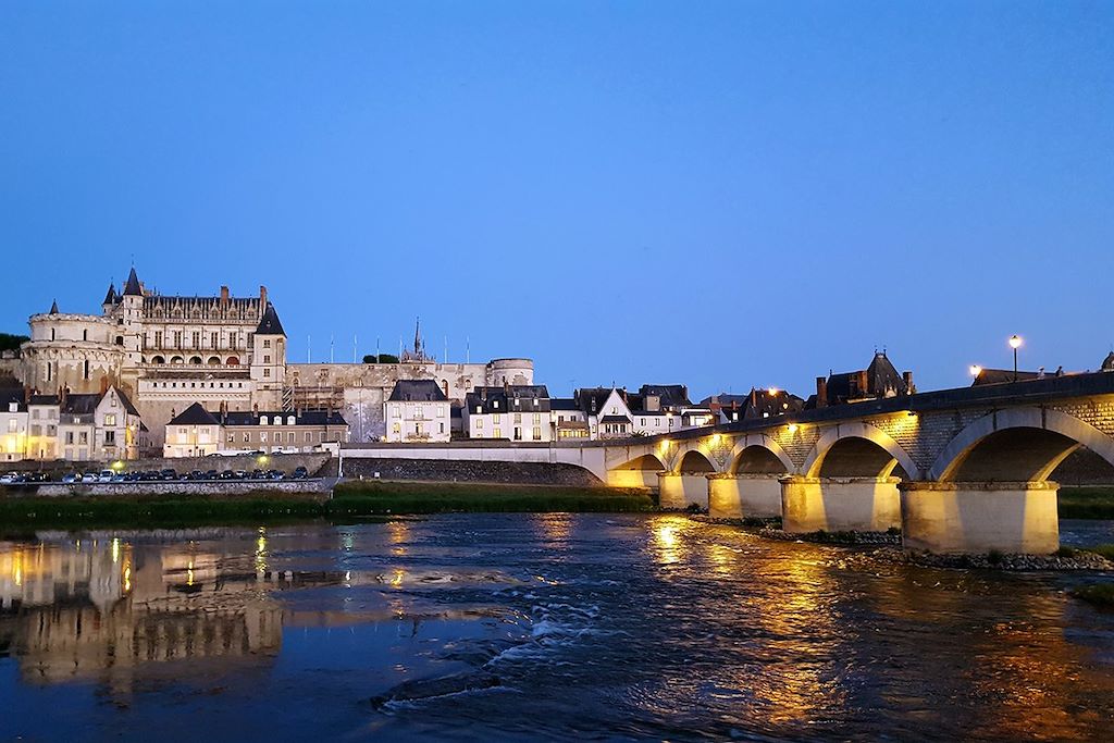 Voyage Loire à vélo et ses châteaux de Blois à Tours 1