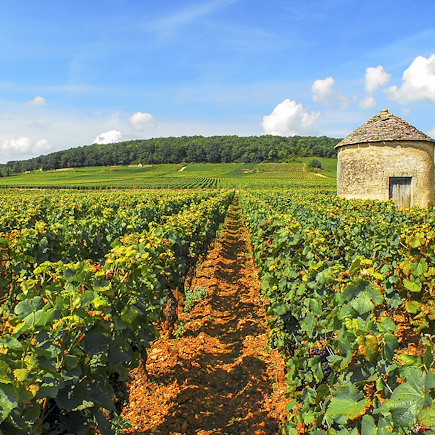Le tour de Bourgogne à vélo, de Chalon à Mâcon