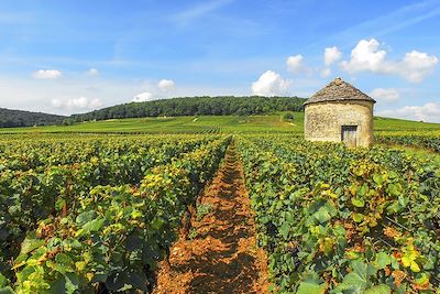 Le tour de Bourgogne à vélo, de Chalon à Mâcon