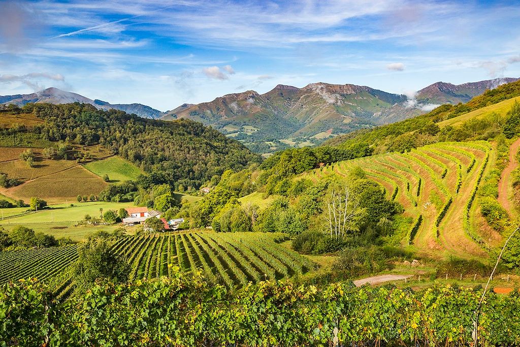 Voyage Terroirs du Pays basque