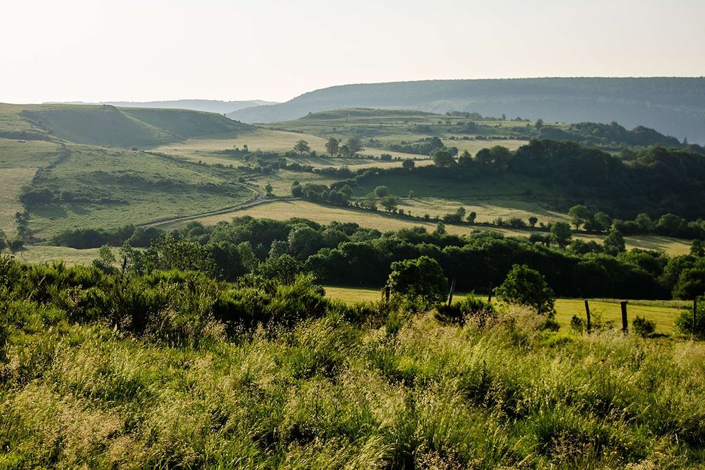 Paysage d Aubrac - France