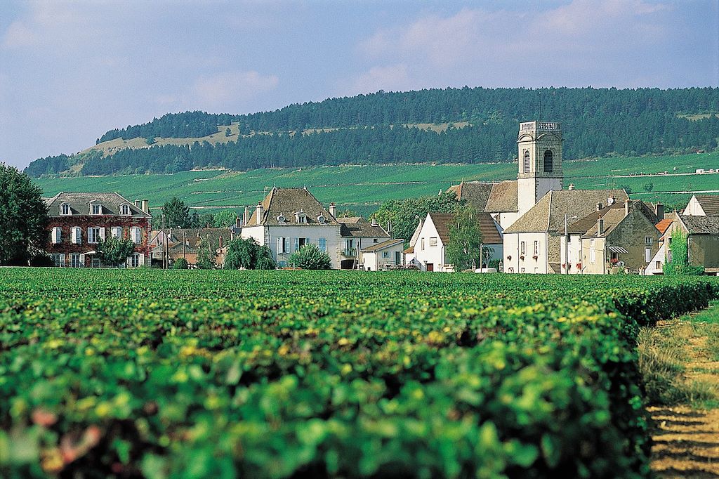Voyage Bourgogne authentique, la route des vins à vélo 3