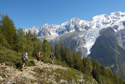 Voyage Le tour du Mont-Blanc (7 étapes) 1