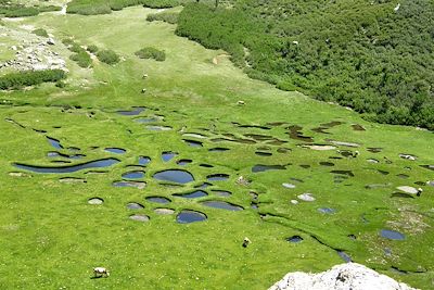 © Denise Chevalier - I Pozzi Bastelica - Corse - France I Pozzi Bastelica - Corse - France