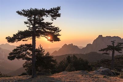 © CAVALIER Michel / hemis.fr - Vue depuis le col de Bavella sur la côte orientale sur le massif de la Punta di Ferriate - Quenza - Alta Rocca - Corse du Sud - France Vue depuis le col de Bavella sur la côte orientale sur le massif de la Punta di Ferriate - Quenza - Alta Rocca - Corse du Sud - France