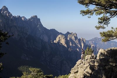 © CAVALIER Michel / hemis.fr - Forêt de pin Laricio du col de Bavella - Quenza - Alta Rocca - Gr 20 - Corse du Sud - France Forêt de pin Laricio du col de Bavella - Quenza - Alta Rocca - Gr 20 - Corse du Sud - France