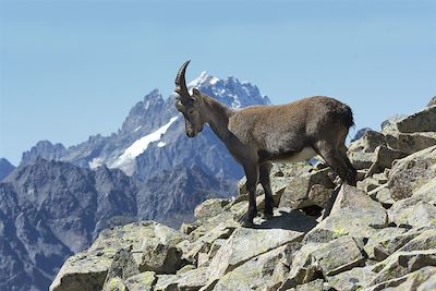 Vallée de la Clarée - Alpes du Sud - France