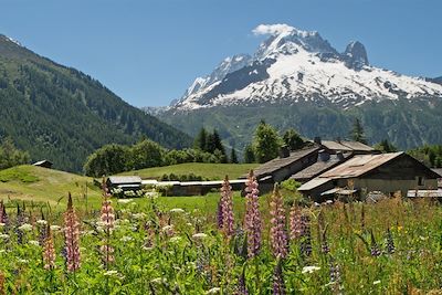 Voyage  Alpes du Nord