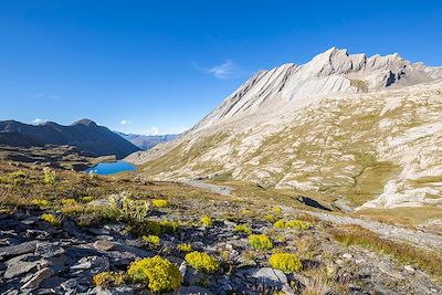 Ronde des lacs et panoramas du Queyras