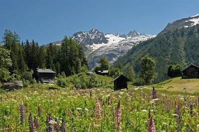© Patrice Labarbe - Tour du mont Blanc - Alpes du Nord - France Tour du mont Blanc - Alpes du Nord - France