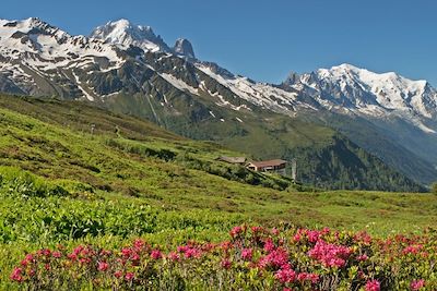© Patrice Labarbe - Tour du mont Blanc - Alpes du Nord - France Tour du mont Blanc - Alpes du Nord - France