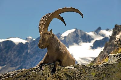 Vallée de la Clarée - Alpes du Sud - France