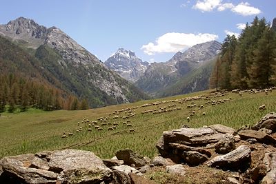 Parc naturel régional du Queyras - Hautes Alpes - Provence Alpes Côte d'Azur - France